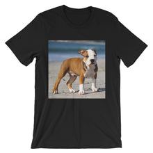 Dog t-shirt