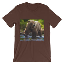 Bear t-shirt