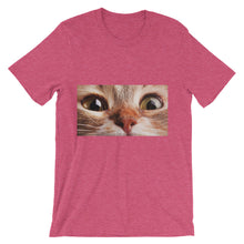 Cat t-shirt