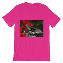Butterfly t-shirt