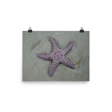Starfish poster
