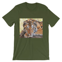 Tiger t-shirt