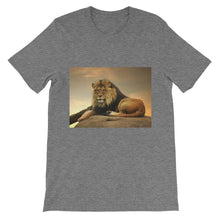 Lion t-shirt