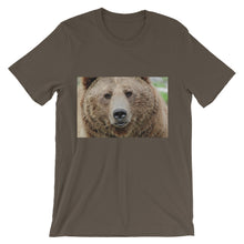 Bear t-shirt