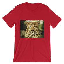 Leopard t-shirt
