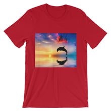 Dolphin t-shirt