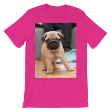Pug t-shirt