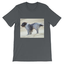 Dog t-shirt