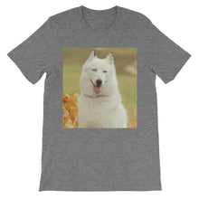 Dog t-shirt