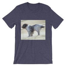 Dog t-shirt