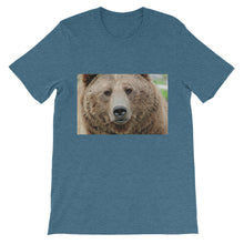 Bear t-shirt