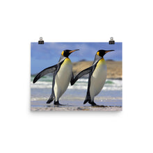 Penguin poster