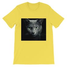 Cat t-shirt