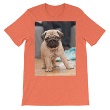 Pug t-shirt