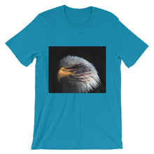 American Eagle t-shirt