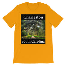 Charleston t-shirt