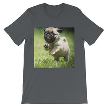 Pug t-shirt