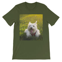Dog t-shirt