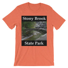 Stony Brook t-shirt