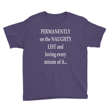 Permanently on the Naughty List Youth Short Sleeve T-Shirt