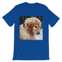 Dog t-shirt