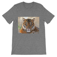 Tiger t-shirt