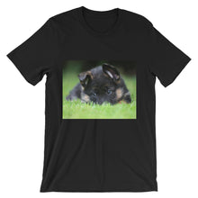 Puppy t-shirt