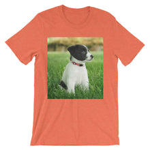Puppy t-shirt