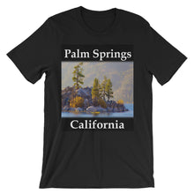 Palm Springs t-shirt