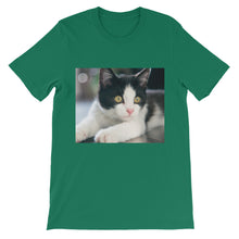 Kitten t-shirt