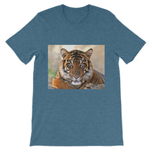Tiger t-shirt