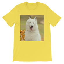 Dog t-shirt