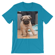 Pug t-shirt