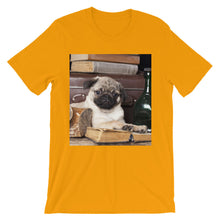 Pug t-shirt