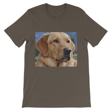 Dog t-shirt