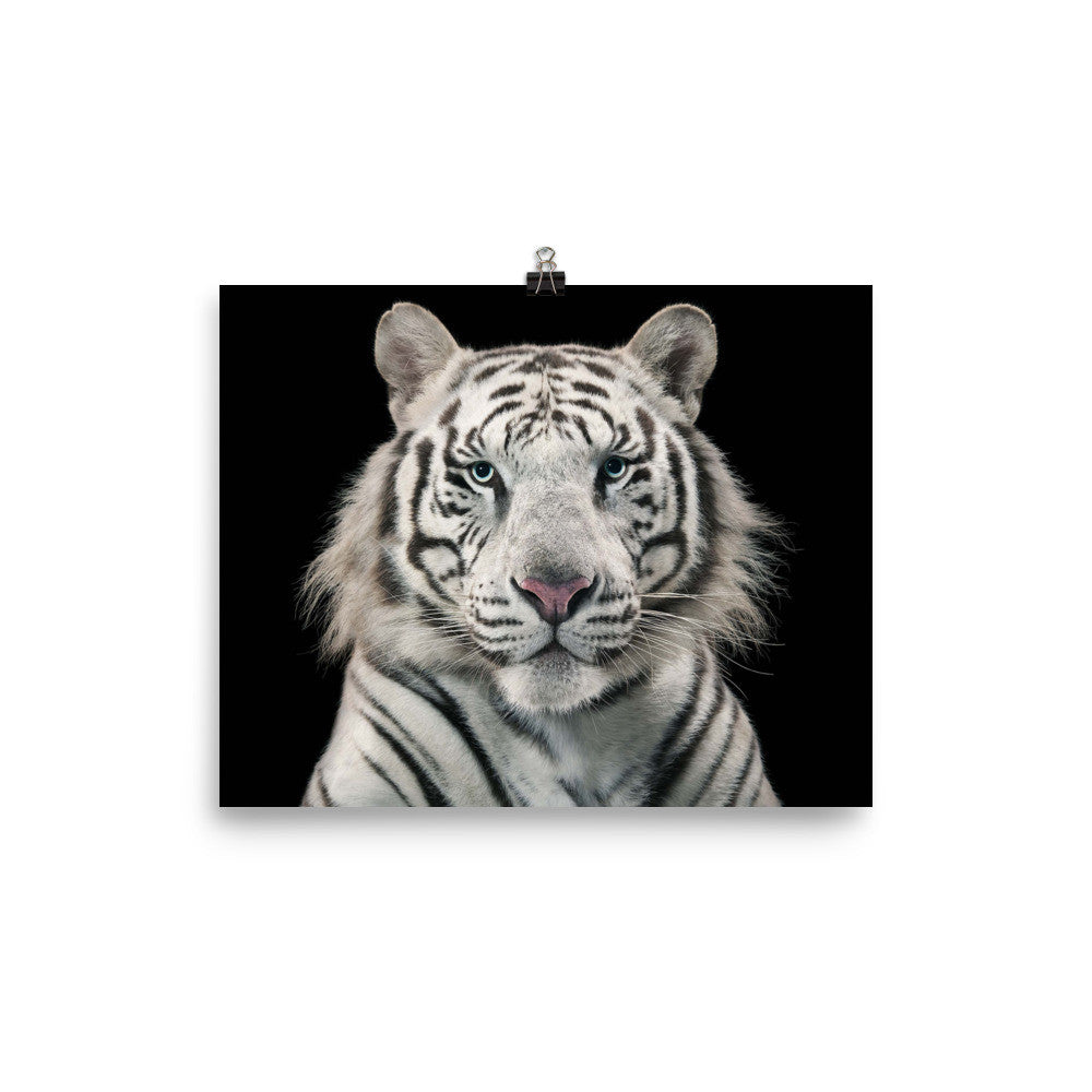 White Tiger poster