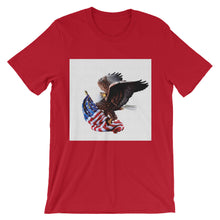 American Eagle t-shirt