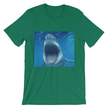 Shark t-shirt