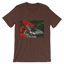 Butterfly t-shirt