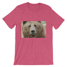 Bear t-shirt