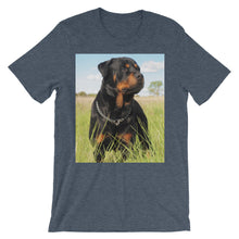 Rottweiler t-shirt
