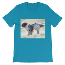 Dog t-shirt