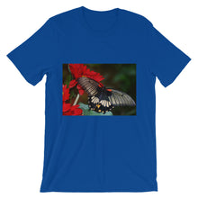 Butterfly t-shirt