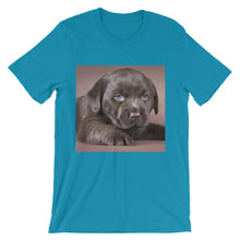 Puppy t-shirt