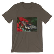 Butterfly t-shirt
