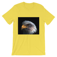 American Eagle t-shirt