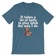 It Takes a Lot of Balls to Play Fetch t-shirt