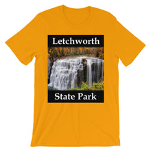 Letchworth t-shirt
