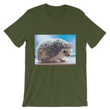 Hedgehog t-shirt