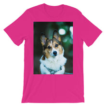 Corgi t-shirt